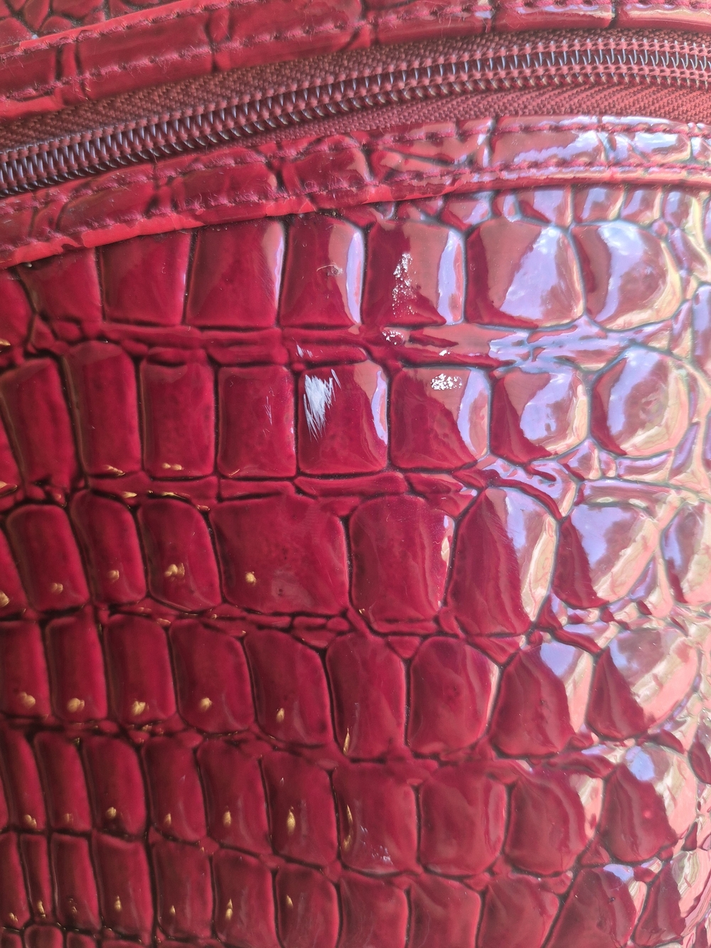 Modella Red Croc-Embossed Cosmetic Case with Top Handle - Picture 4 of 6